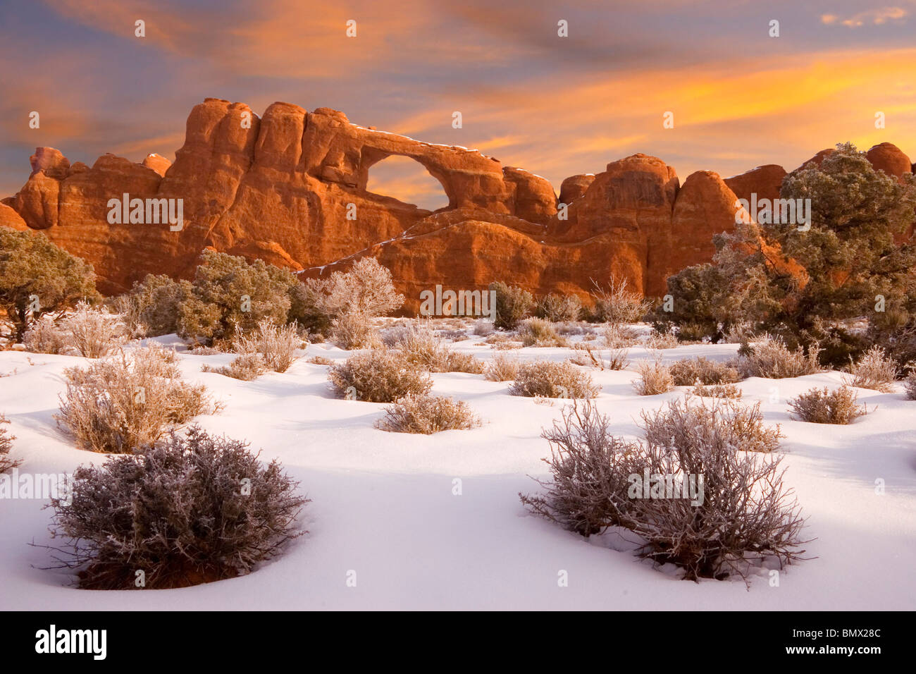 En hiver Parc National Arches dans le désert au sud-ouest de l'Utah USA Banque D'Images