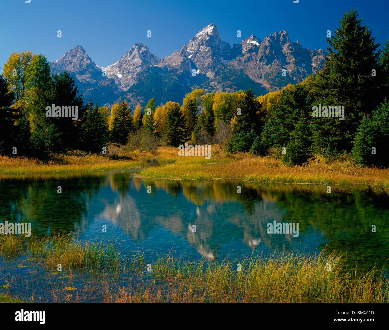 Parc National de Grand Teton, Wyoming Teton Range réfléchit sur un étang de castors près de l'atterrissage sur la Schwabacher Snake River Banque D'Images