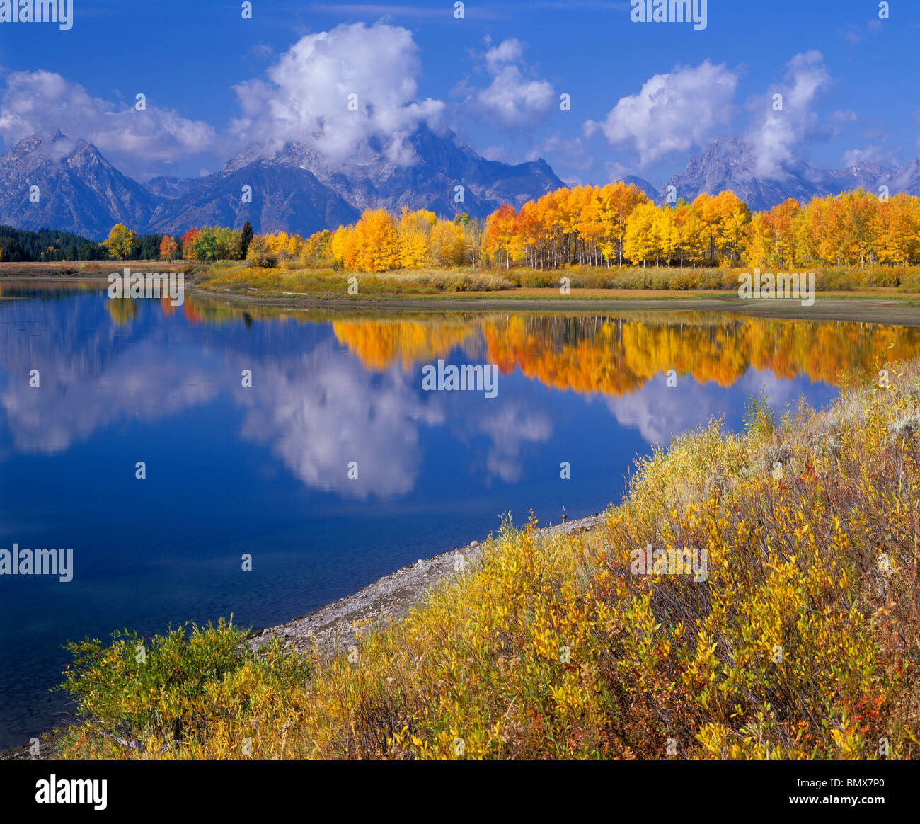 Parc National de Grand Teton, Wyoming : Mt Moran et Teton Range avec l'automne dans les tremblaies réfléchissant sur le méandre mort de la Snake River Banque D'Images