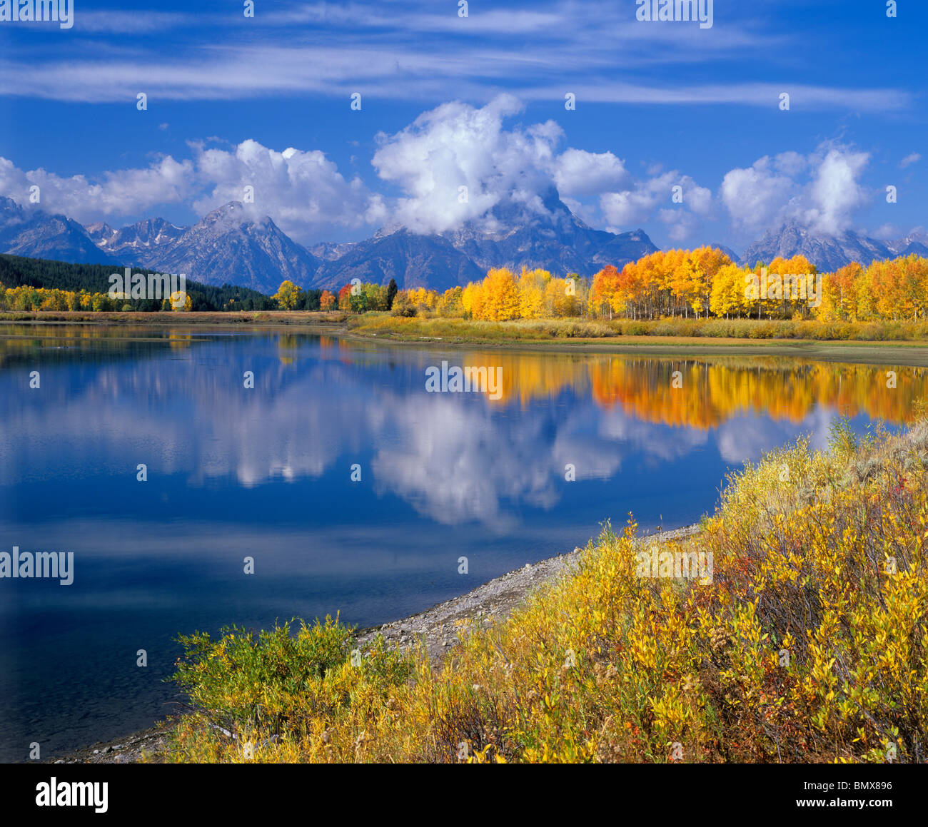 Parc National de Grand Teton, Wyoming : Mt Moran et Teton Range avec l'automne dans les tremblaies réfléchissant sur le méandre mort de la Snake River Banque D'Images