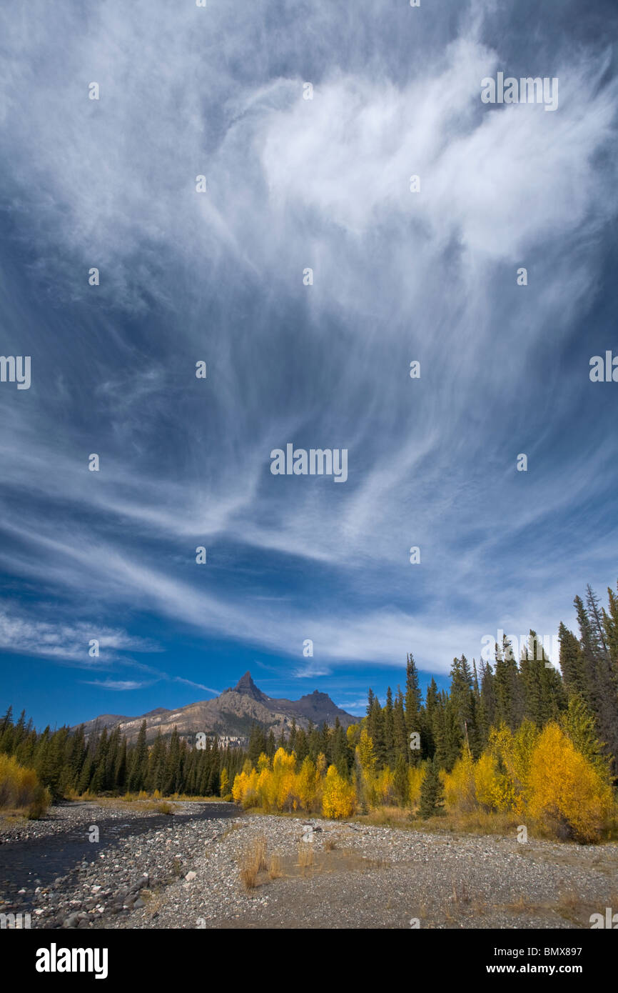 Forêt nationale de Shoshone, WY Afficher de pic et de pilote le long de la Clark Fork River de l'automne avec les peupliers de couleur Banque D'Images