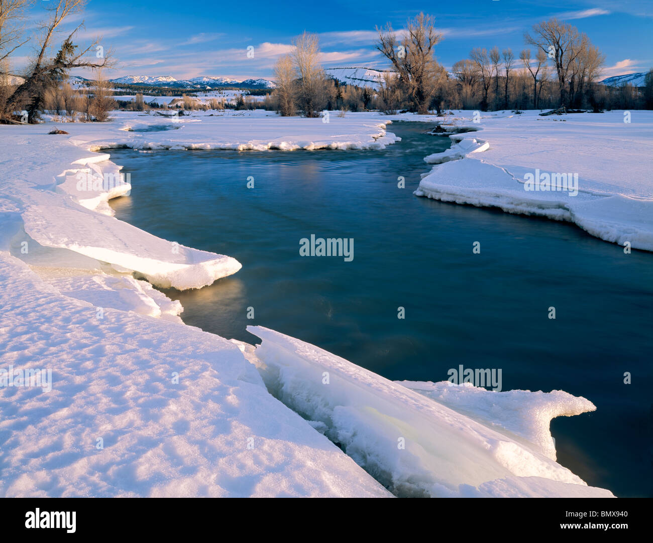 Parc National de Grand Teton, Wyoming de glace à la propagation le long de ruisseau qui dans la vallée de la rivière Snake Banque D'Images