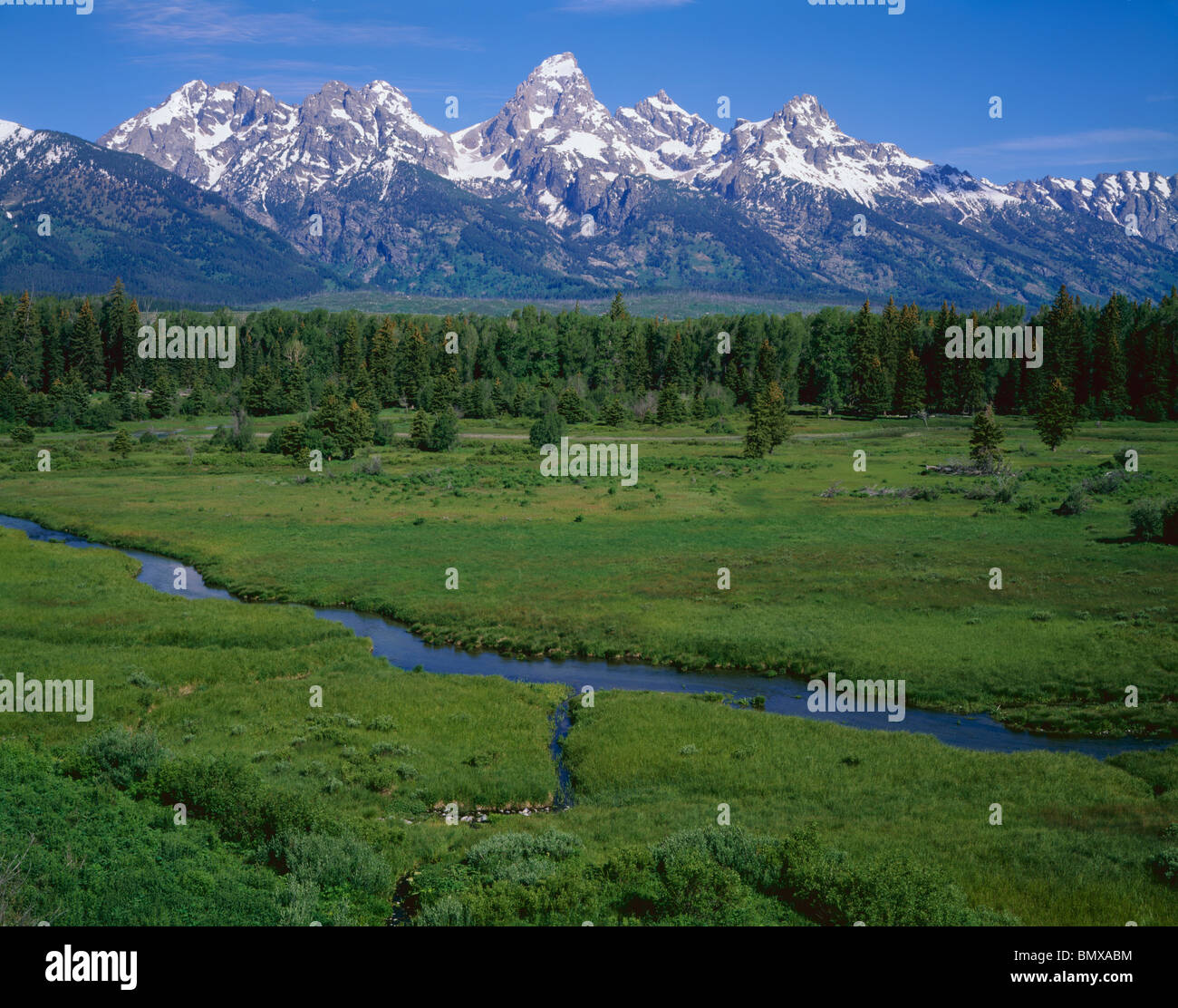 Parc National de Grand Teton, Wyoming Teton Range au-dessus d'un ruisseau et pré herbeux à étangs Blacktail Banque D'Images