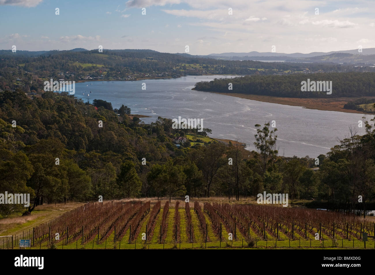 Le Tamar River près de Launceston, dans le nord de la Tasmanie Banque D'Images