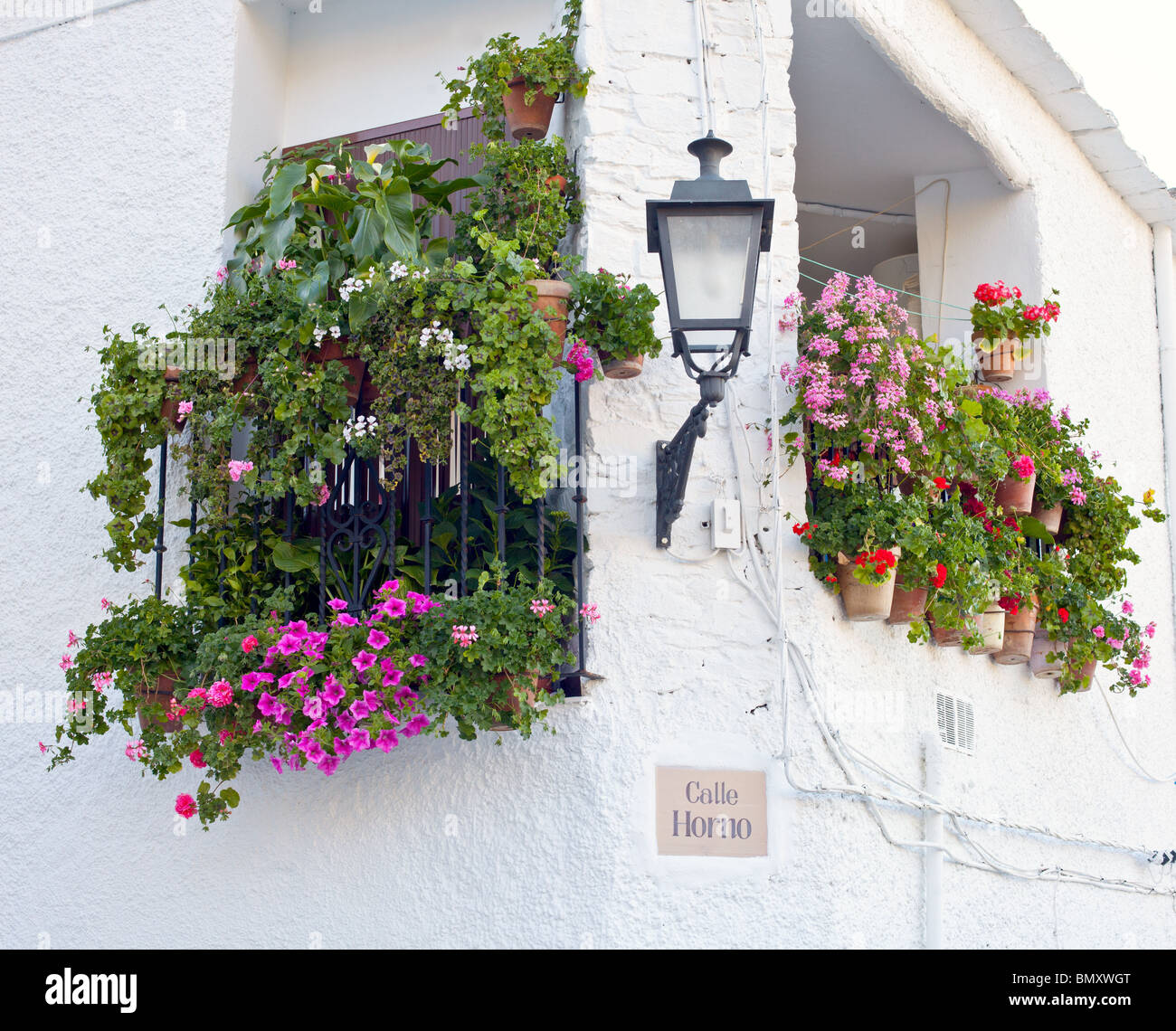 Fenêtres avec des fleurs, Capileira, Andalousie, Las Alpujarras, Espagne Banque D'Images