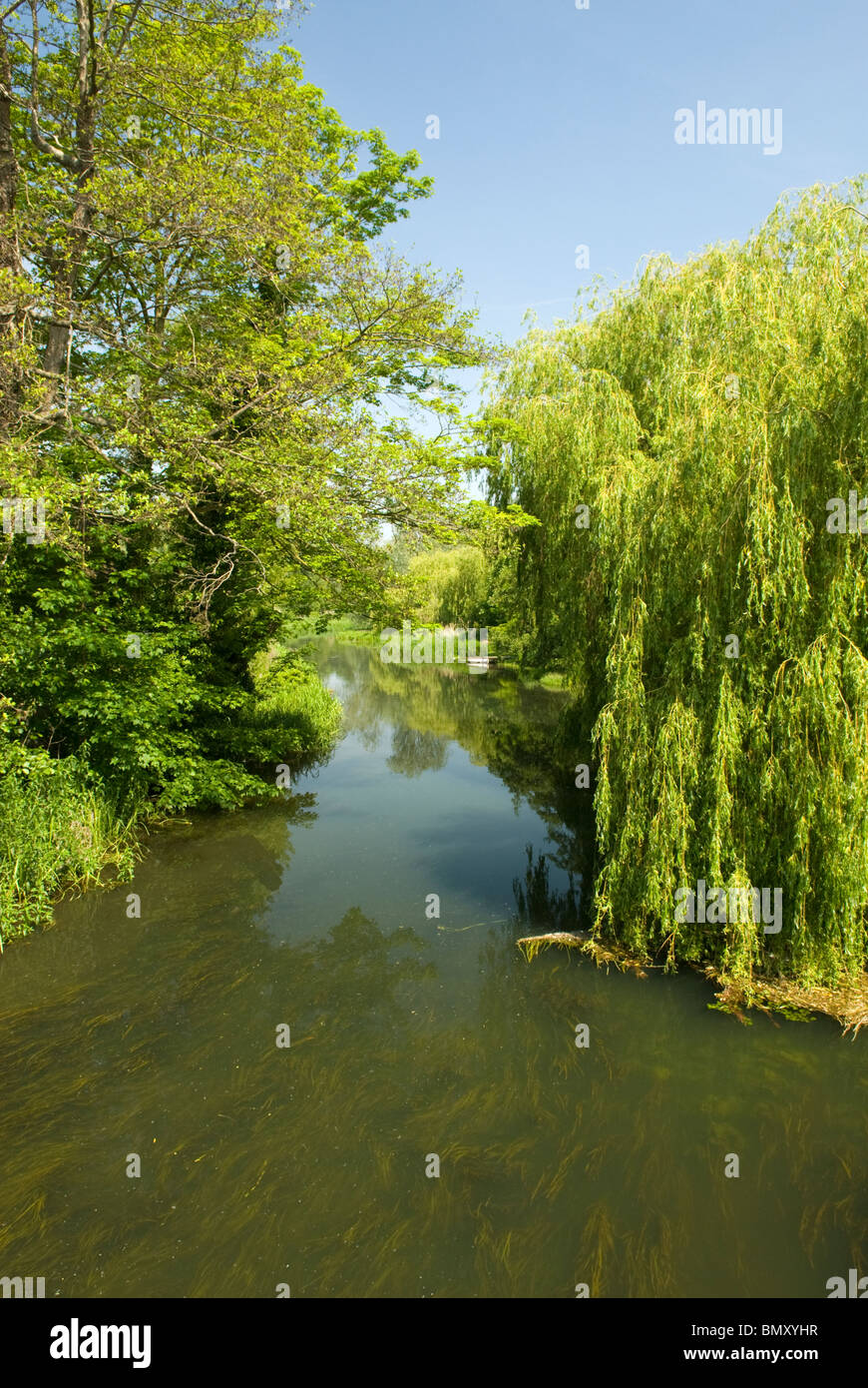 La rivière Bure, Coltishall, Norfolk, Angleterre. Banque D'Images