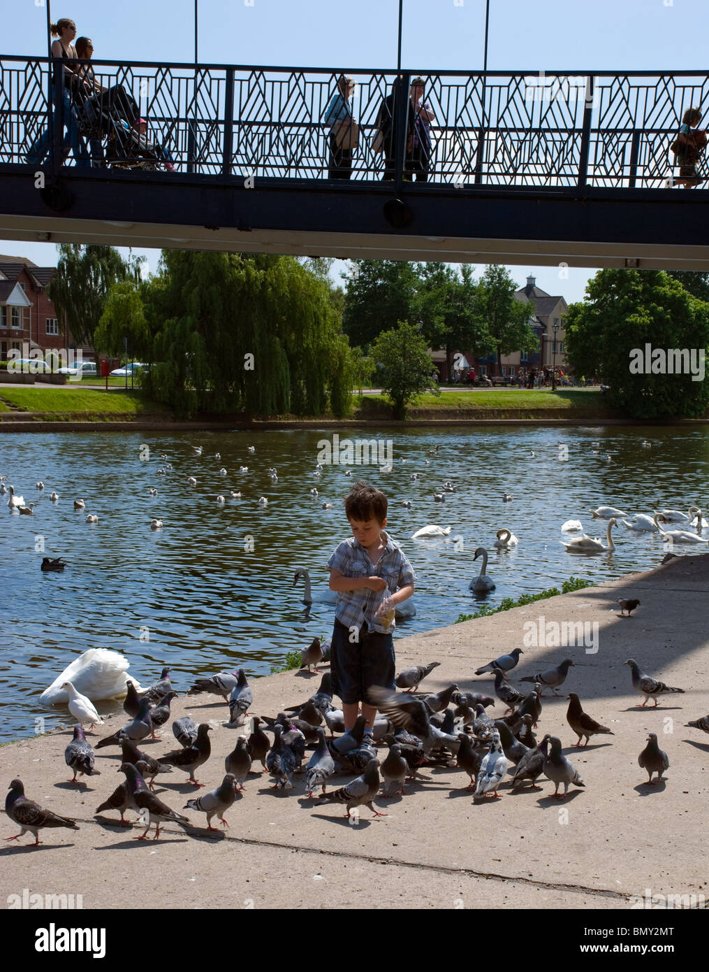 Petit boy feeding pigeons par la rivière exe devon Banque D'Images