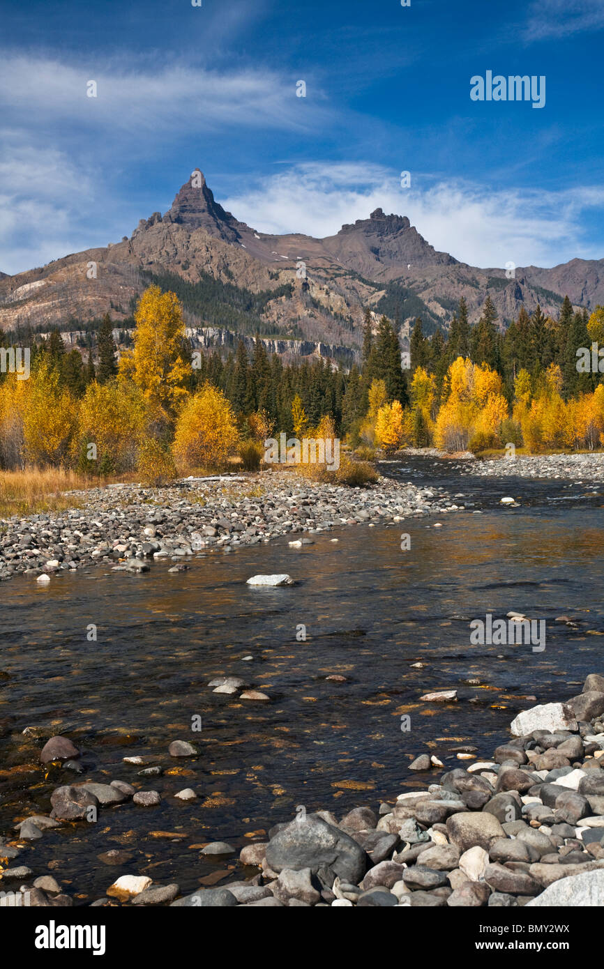 Forêt nationale de Shoshone, WY Afficher de pic et de pilote le long de la Clark Fork River de l'automne avec les peupliers de couleur Banque D'Images