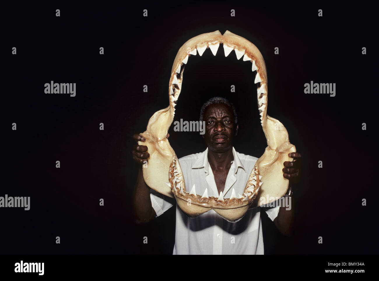 Mâchoires de requin pour être vendus en tant que bibelots bibelots , Thoothoor () - L'Inde. Banque D'Images