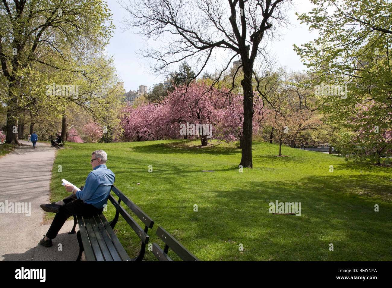 Man reading on Park Bench, Central Park, NYC Banque D'Images