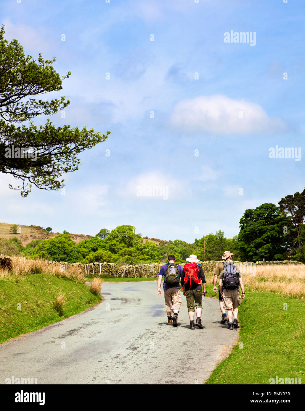 Les marcheurs randonnée sur une route de campagne, Lake District, Buttermere valley, Cumbria, England, UK Banque D'Images