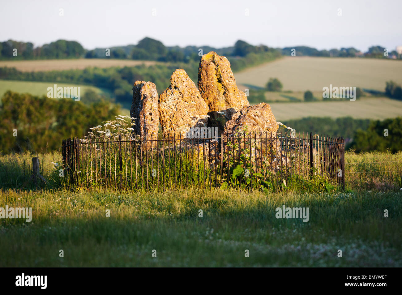Le Rollright stones, Le Whispering Knights, Oxfordshire, Angleterre. Banque D'Images