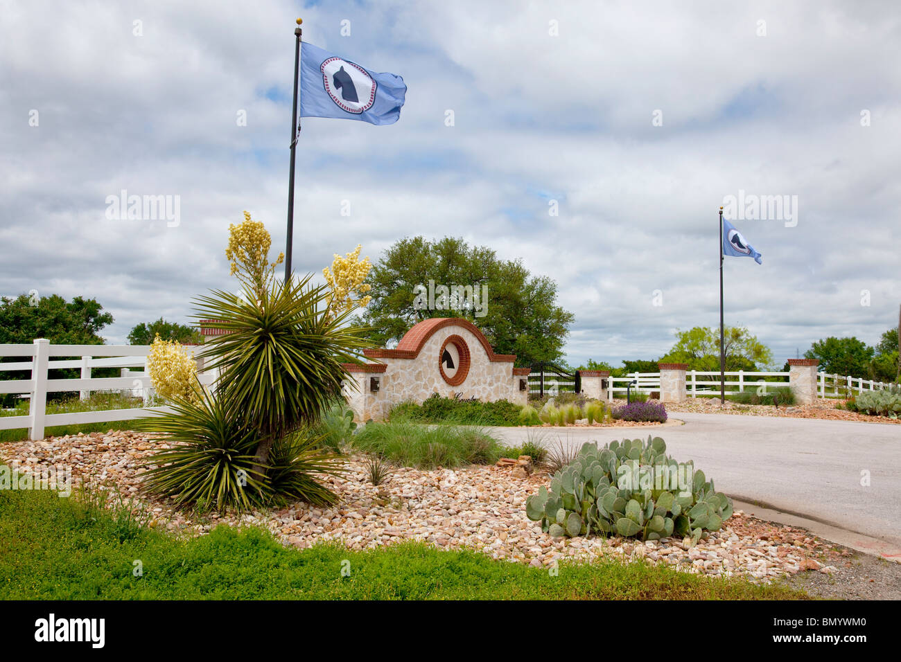 Un ranch entrée avec drapeau fleurs yuccas près de Llano, Texas, USA. Banque D'Images