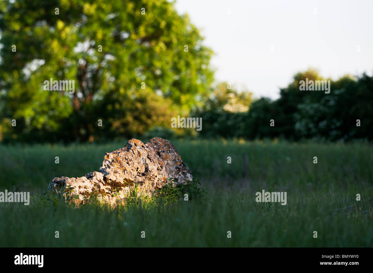 Le Rollright stones, Oxfordshire, Angleterre. Banque D'Images