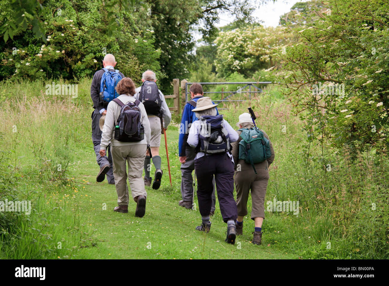 Groupe de six fin du moyen de marcheurs avec jour de sacs à dos sur terrain chemin vers la porte. Banque D'Images