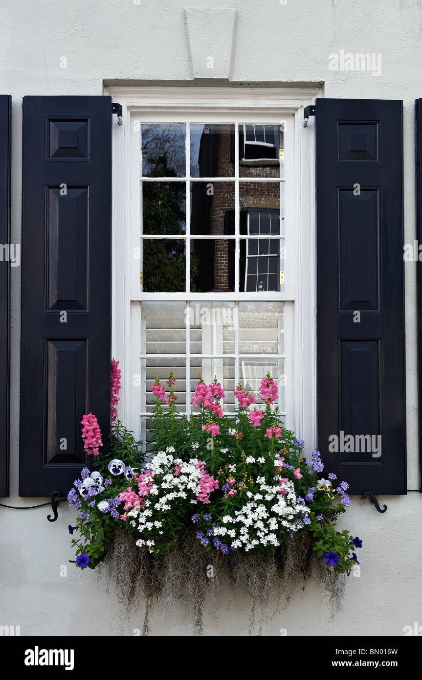 Fenêtre, volets et fleurs à l'historique de la maison sur Tradd Street à Charleston, Caroline du Sud Banque D'Images