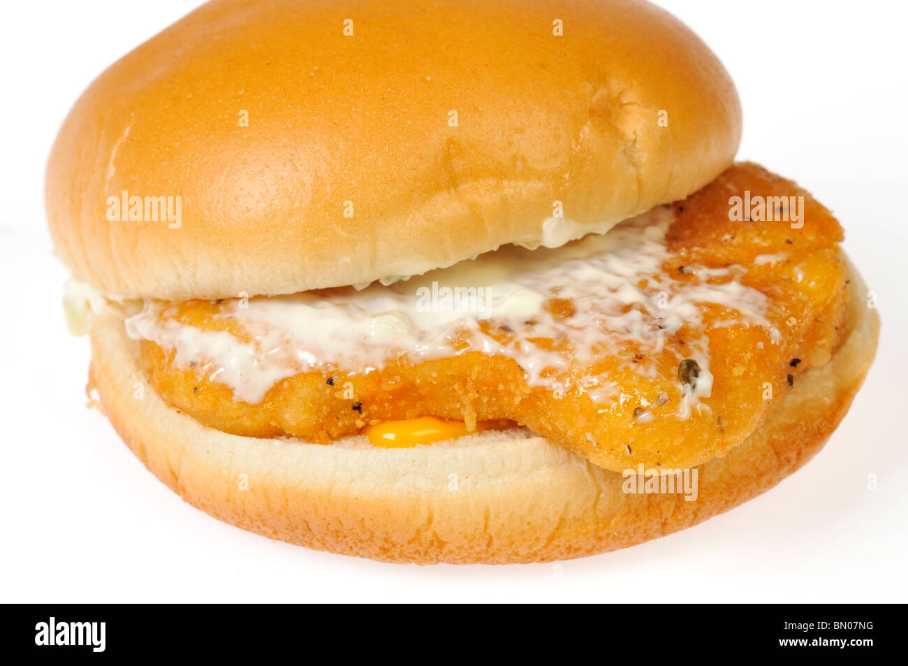 Sandwich Filet de poisson avec sauce tartare et fromage sur un petit pain sur fond blanc. Banque D'Images