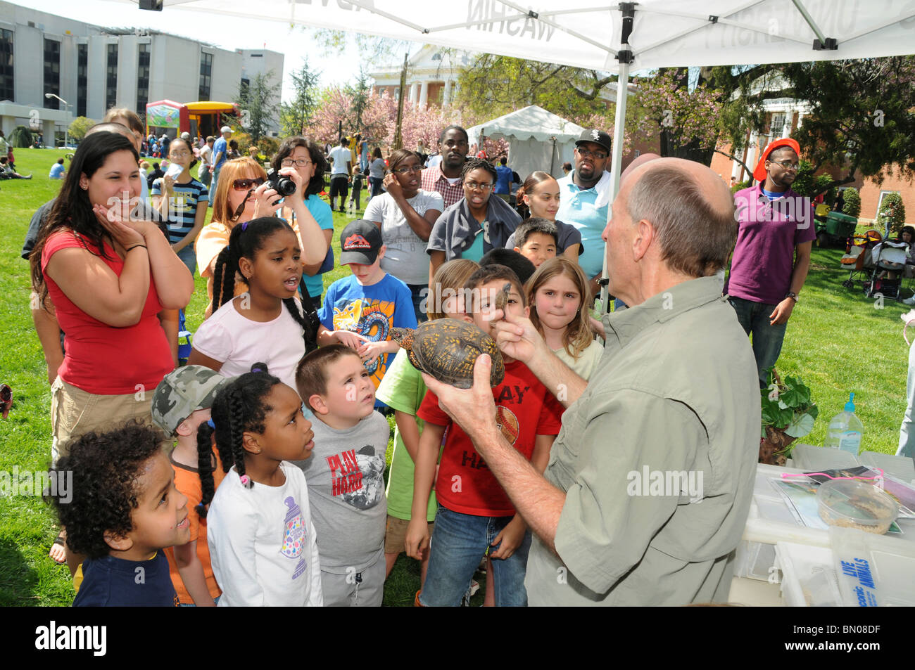 Un expert de la faune indique aux enfants une boîte tortue en un festival à Takoma Park, Maryland Banque D'Images