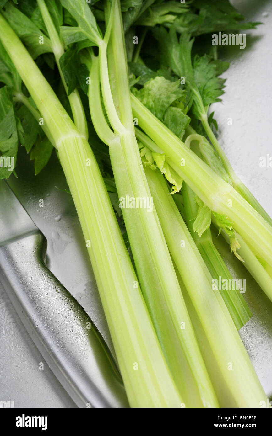 Le céleri, Italie, Europe Banque D'Images