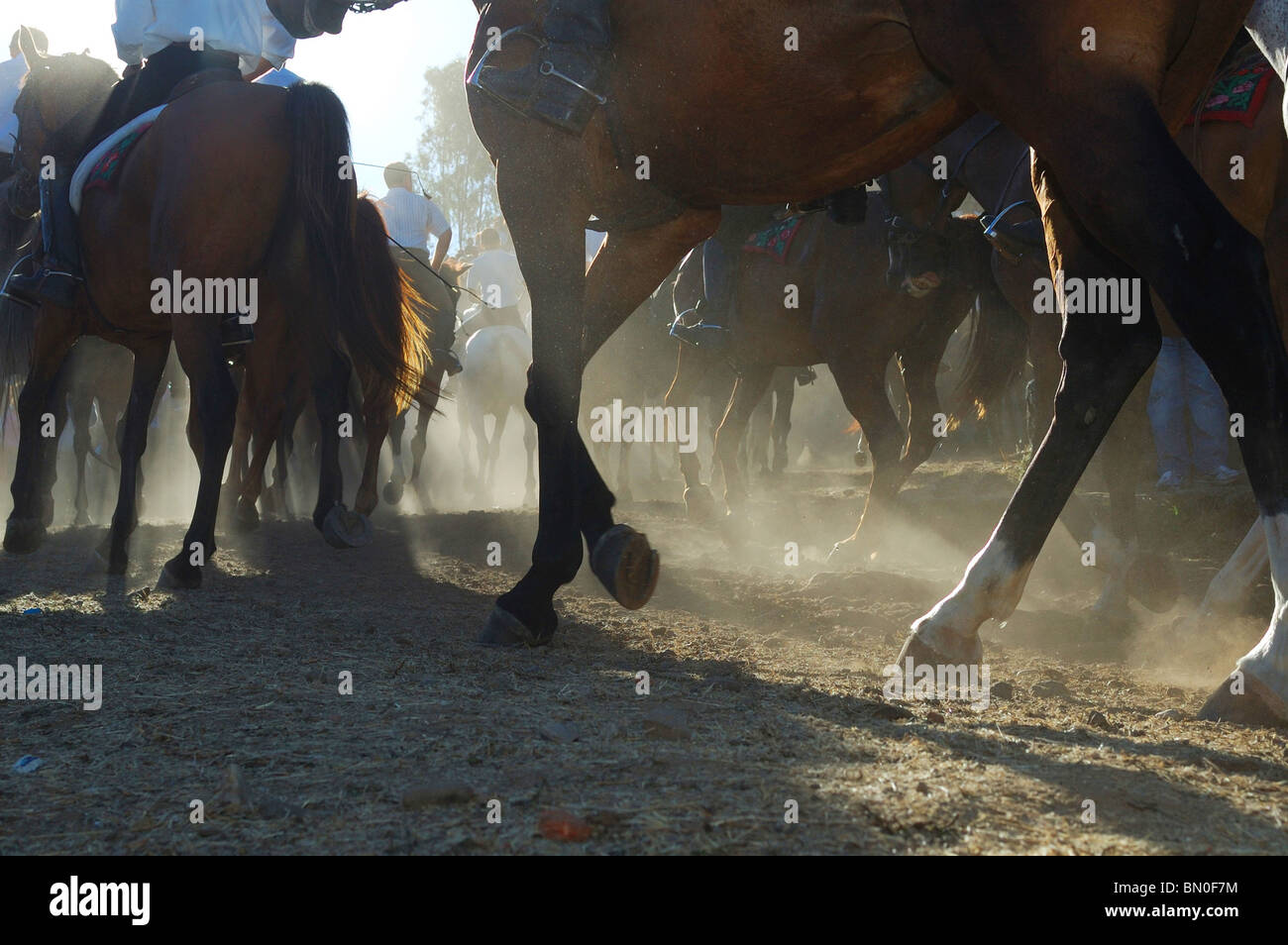 La Cavalcata Sarda,courses chevaux traditionnels, Sedilo, ARDIA, Barbagia, Sardaigne, Italie, Europe Banque D'Images
