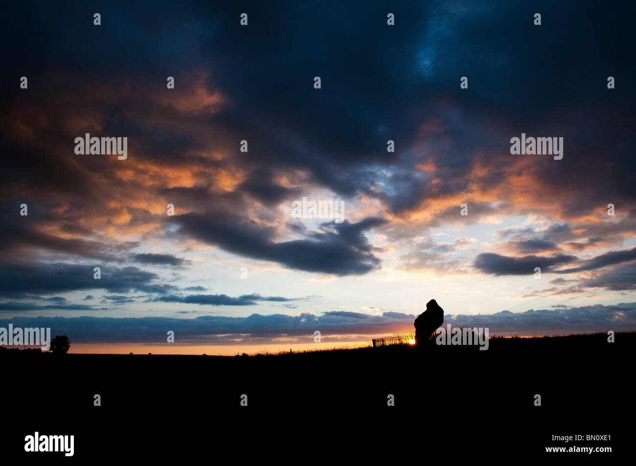 Le Rollright stones, le roi Pierre, Oxfordshire, Angleterre. Silhouette Banque D'Images