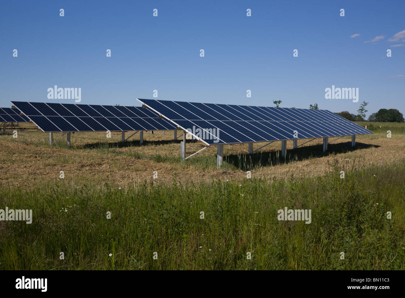 Les modules solaires dans un parc solaire en Allemagne Banque D'Images