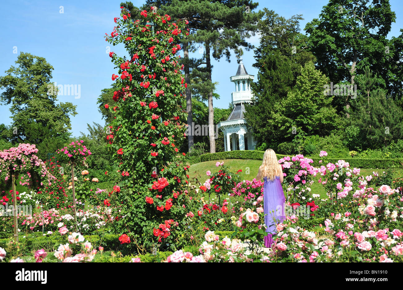 Bois de Boulogne, parc de Bagatelle, jardin des roses et l'orangerie. Parc  de Bagatelle, Paris, France Photo Stock - Alamy