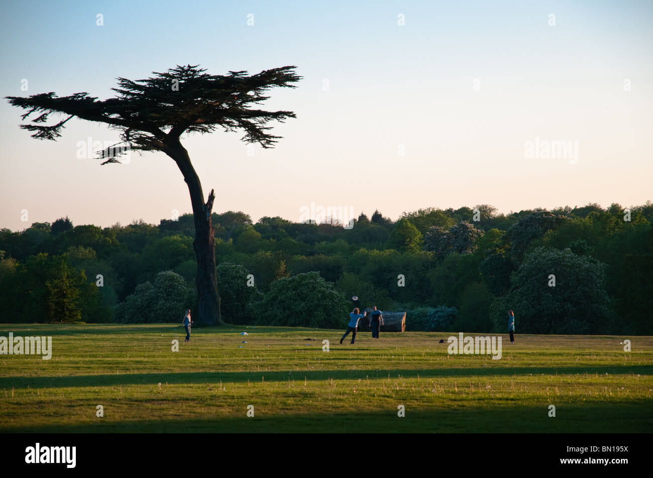 Cassiobury Park, Watford, Hertfordshire, Royaume-Uni Banque D'Images