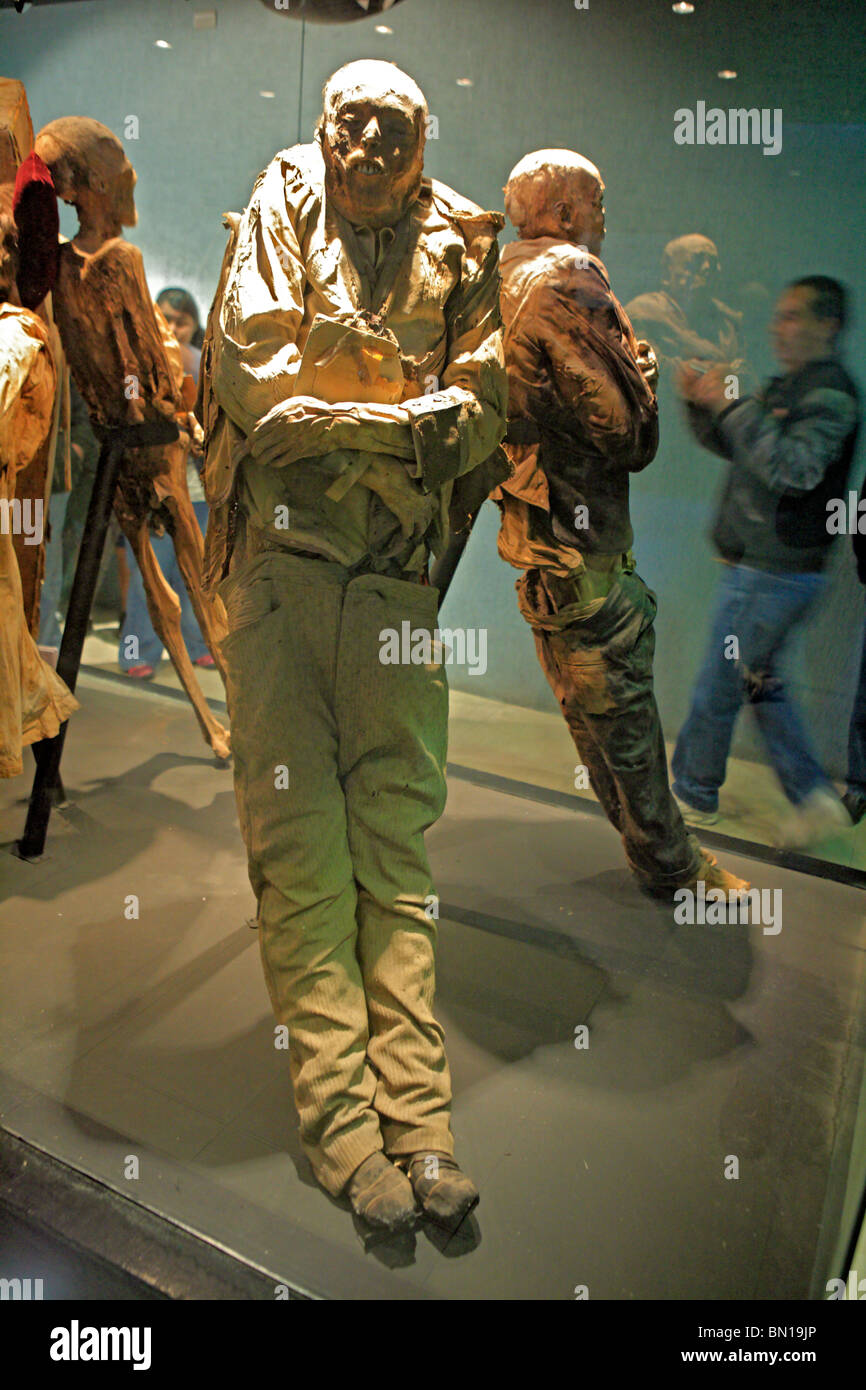 Le musée des momies, Guanajuato, Guanajuato, Mexique de l'état Banque D'Images