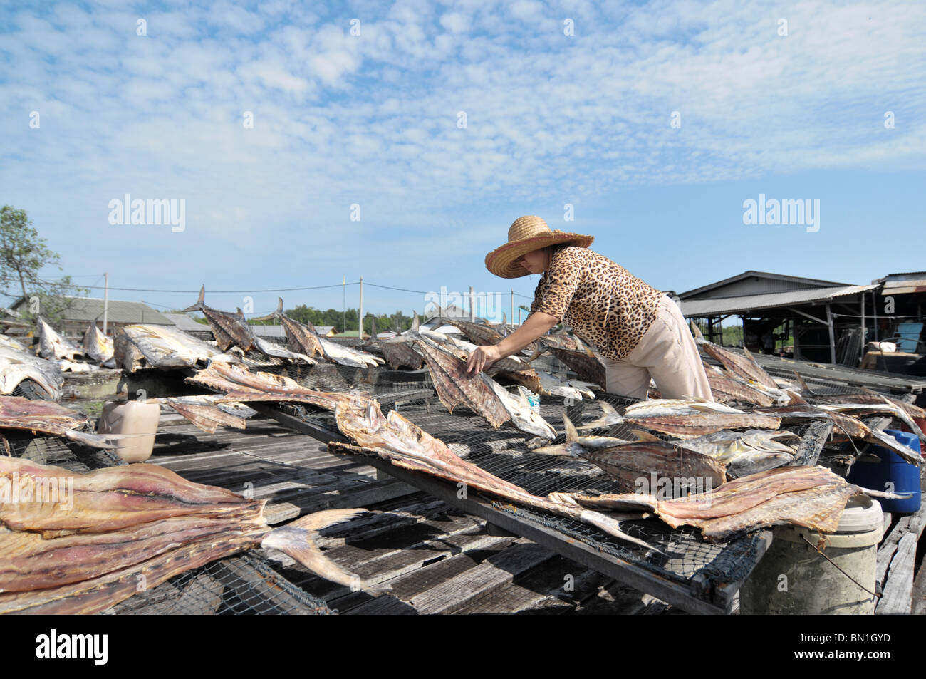 Le mode de vie des résidents à Pulau Ketam ou Carey Island au large de Kuala Selangor, Malaisie Banque D'Images