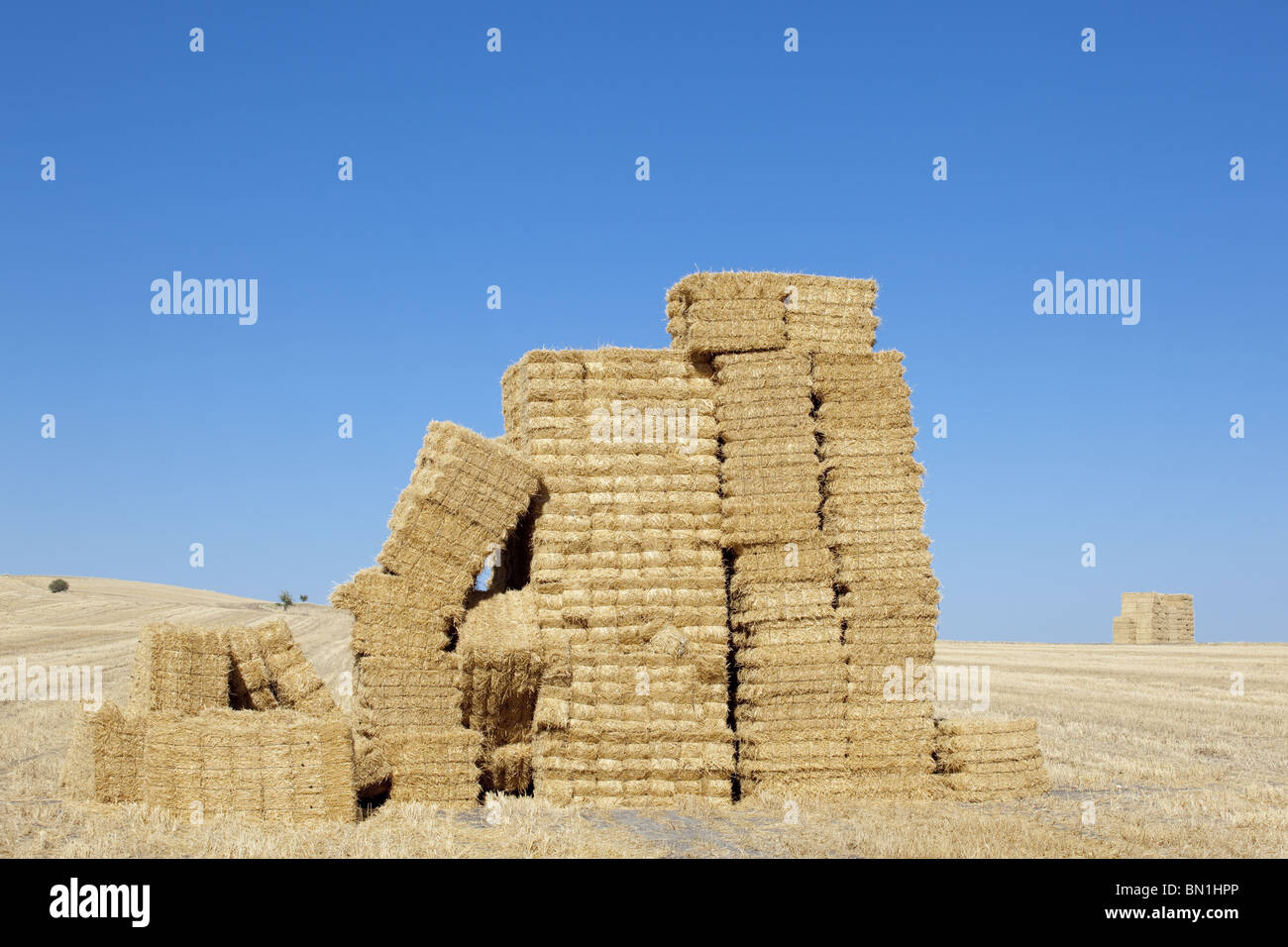 Grange avec pile carrée sur les colonnes, la texture des céréales Banque D'Images