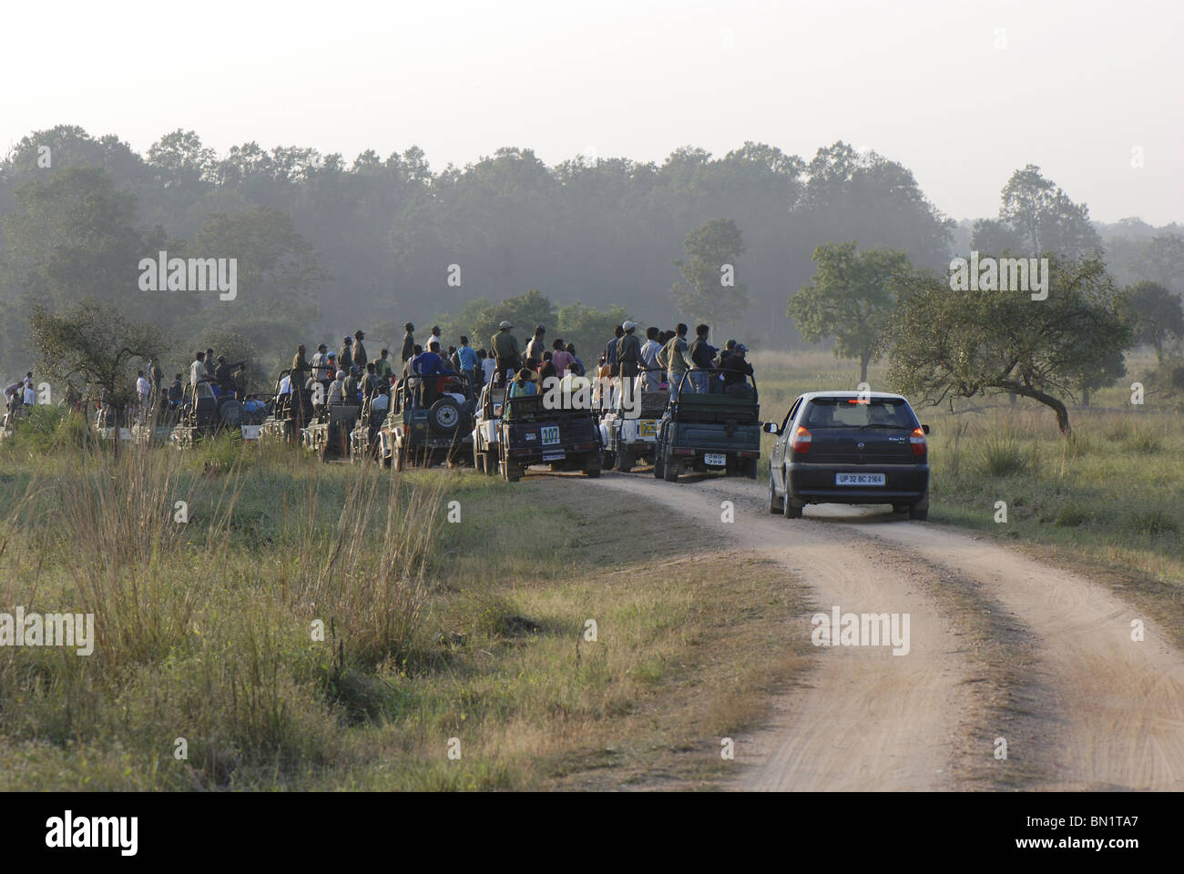 Les touristes en attente de tiger à émerger à Kanha National Park Banque D'Images