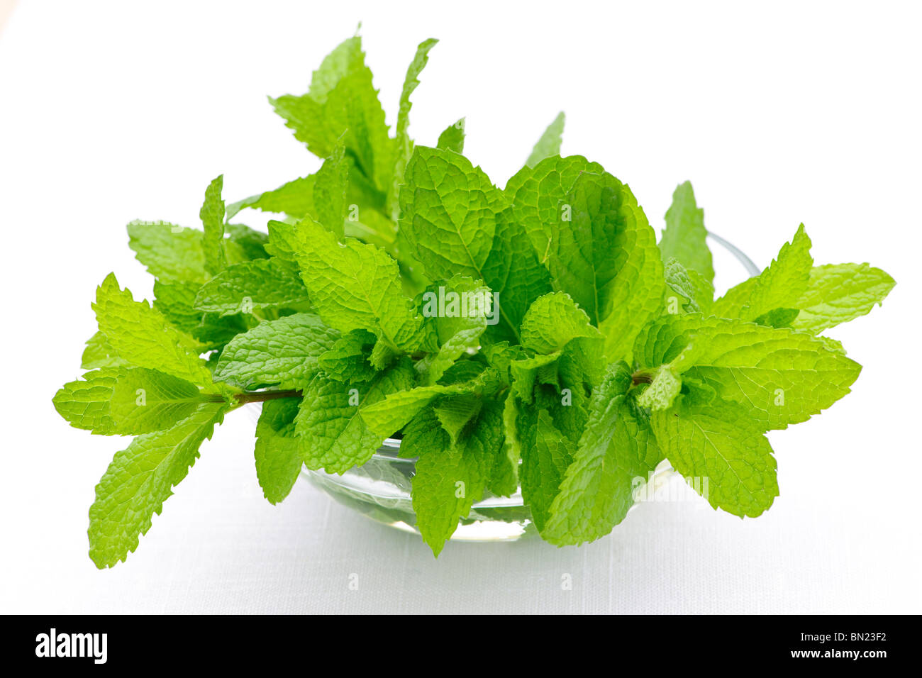 Bouquet de feuilles de menthe fraîche dans un bol en verre clair Banque D'Images