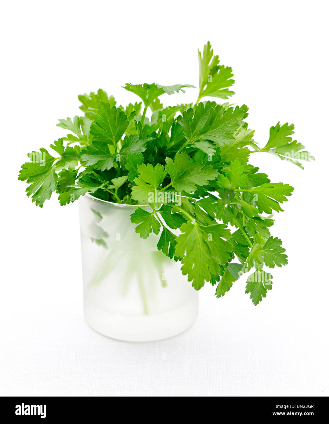 Persil frais vert en verre isolé sur fond blanc Banque D'Images