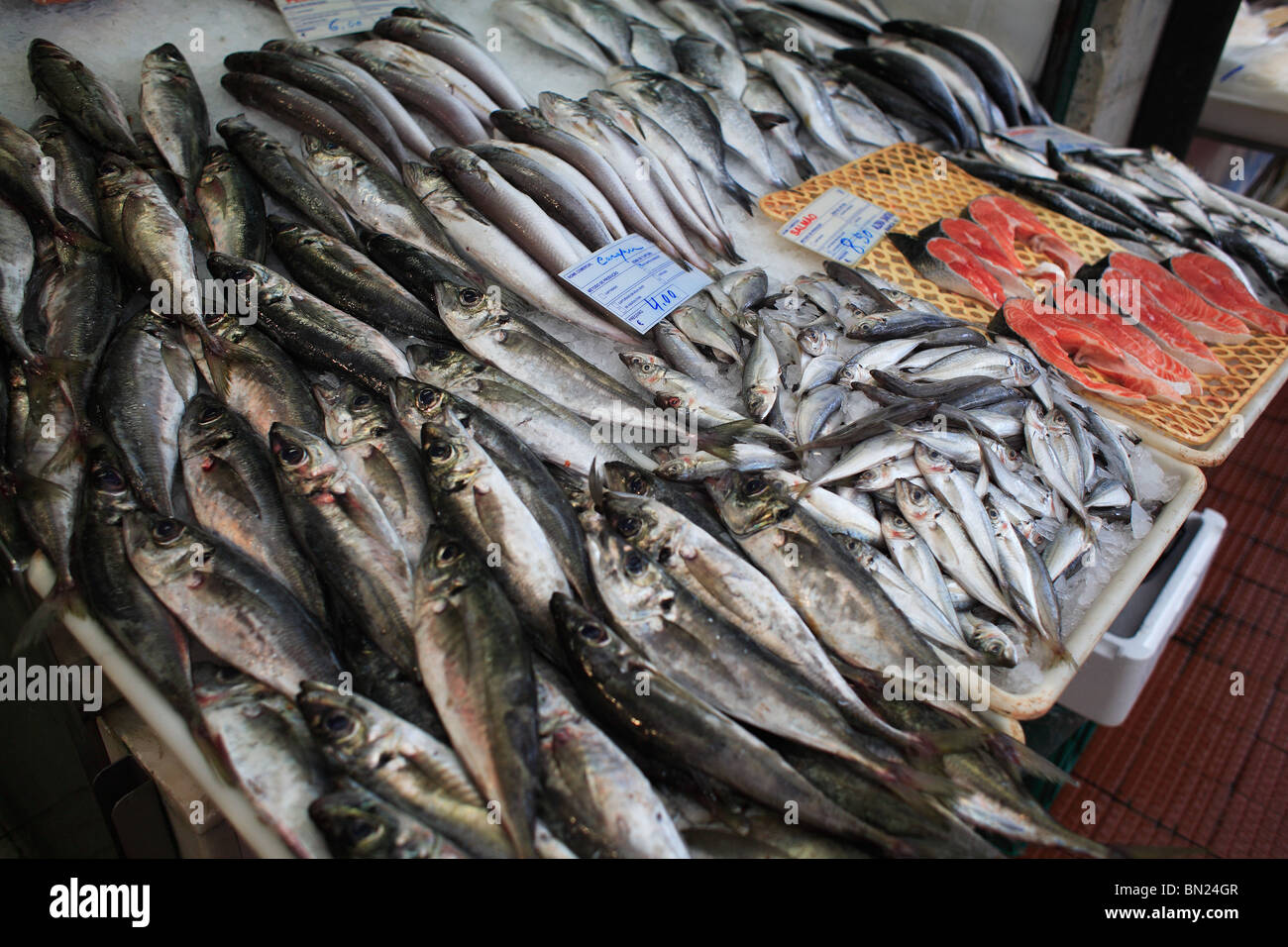 Affichage des poissons dans le marché Ribeira, Lisbonne, Portugal Banque D'Images