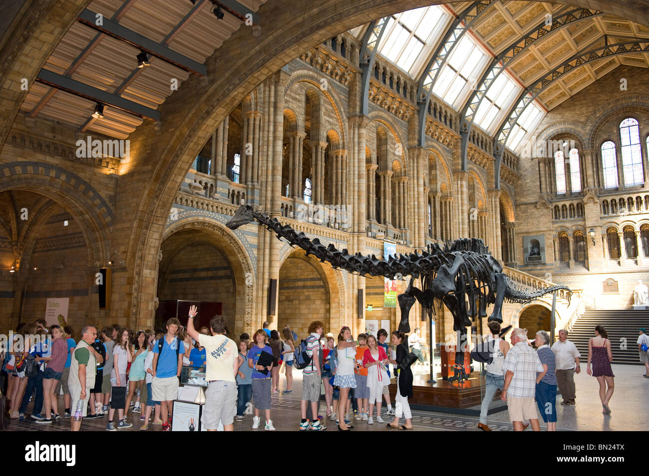 Le Diplodocus dans le hall central principal du Musée d'Histoire Naturelle avec des personnes visitant Londres, UK Banque D'Images