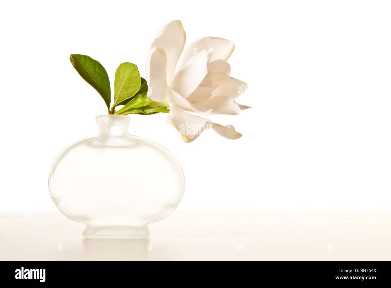 Le Gardenia blanc fleurs sur table de marbre Banque D'Images