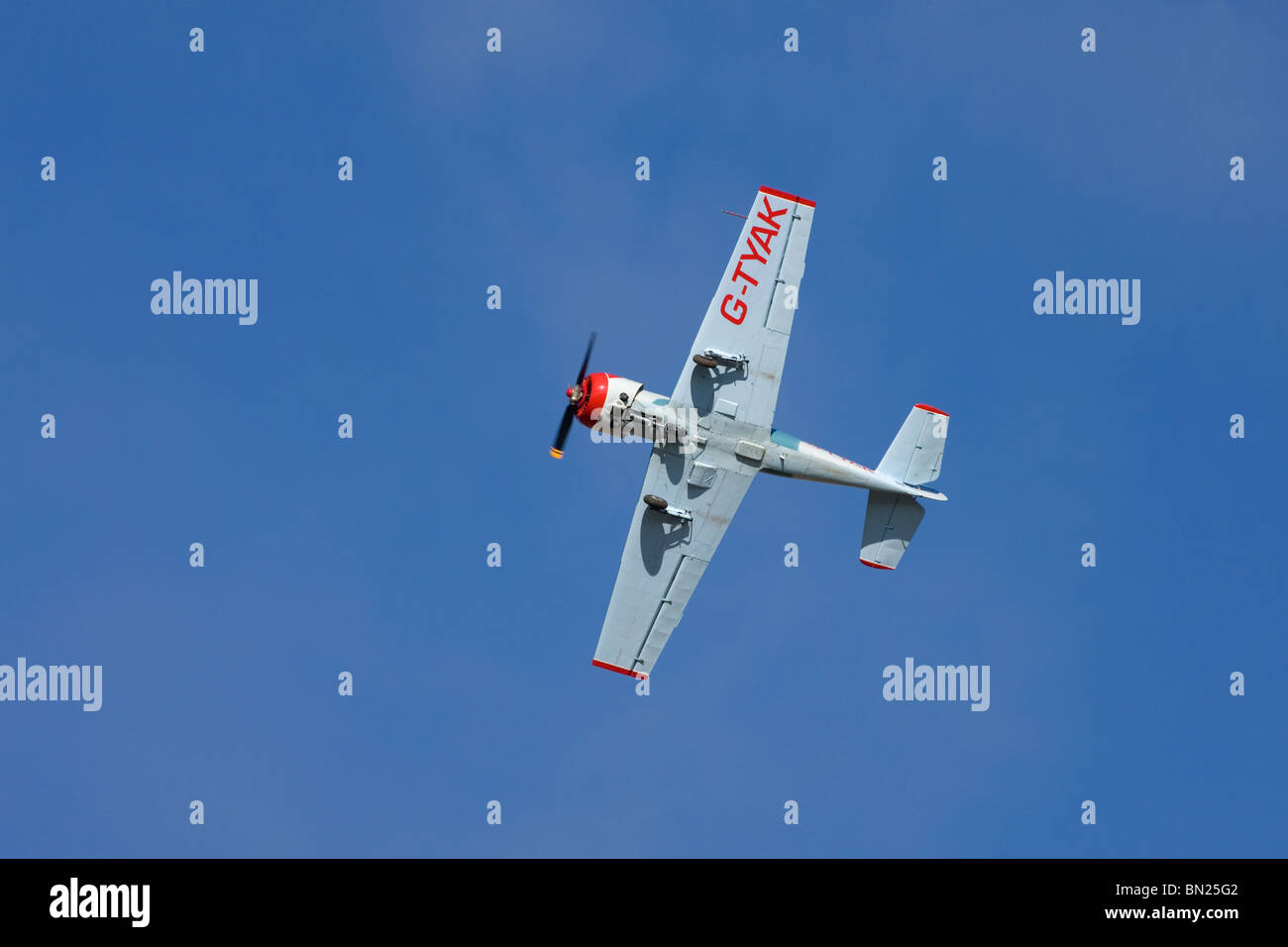 Yakovlev Yak-52 'Betsy' G-TYAK en vol à Breighton Airfield Banque D'Images