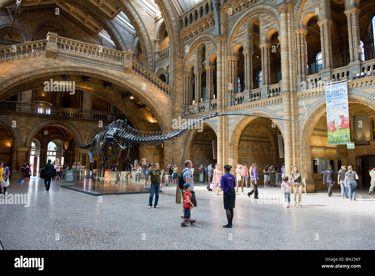 Le Diplodocus dans le hall central principal du Musée d'Histoire Naturelle avec des personnes visitant Londres, UK Banque D'Images