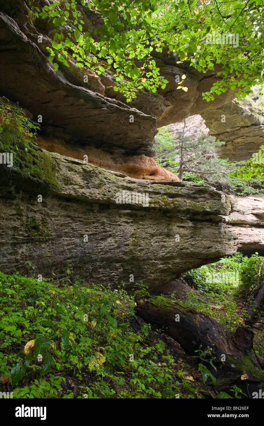 Pont naturel (quelques grafatti retiré numériquement), Natural Bridge State Park, Sauk County, Wisconsin Banque D'Images