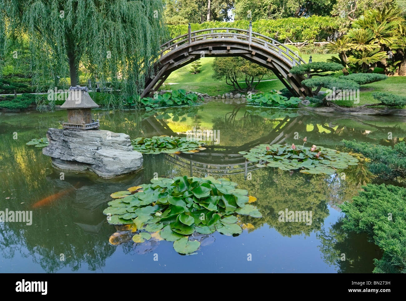 Jardin japonais avec pont de lune et Lotus étang avec des poissons Koi. Banque D'Images