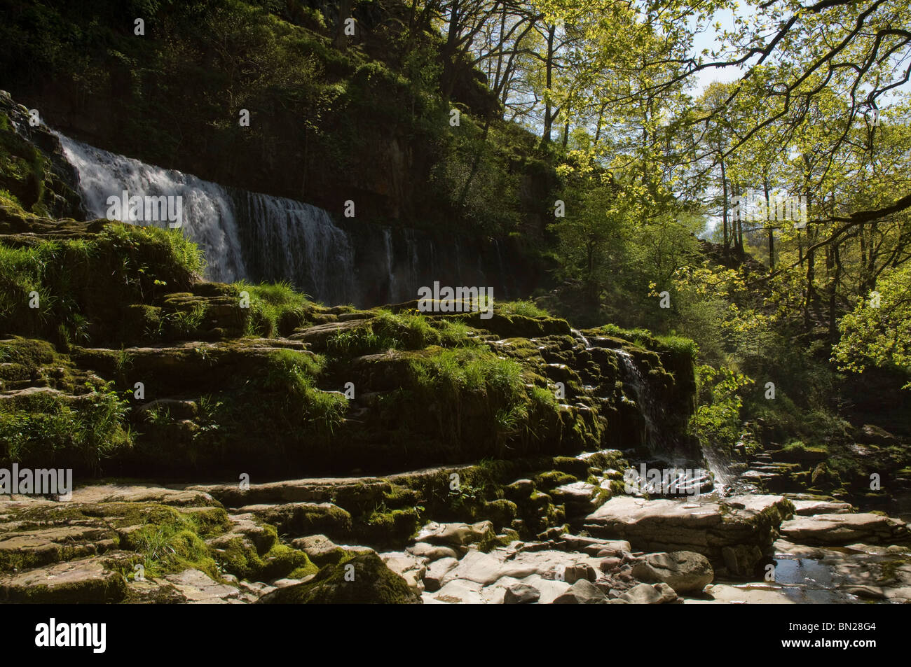 Sgwd Fias Oisans-Afon Gwyn, Mellte, Ystradfellte, parc national de Brecon Beacons, Powys, Pays de Galles, Royaume-Uni, Europe Banque D'Images