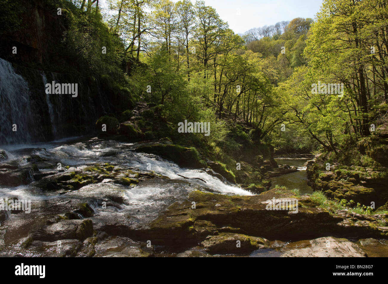 Sgwd Fias Oisans-Afon Gwyn, Mellte, Ystradfellte, parc national de Brecon Beacons, Powys, Pays de Galles, Royaume-Uni, Europe Banque D'Images