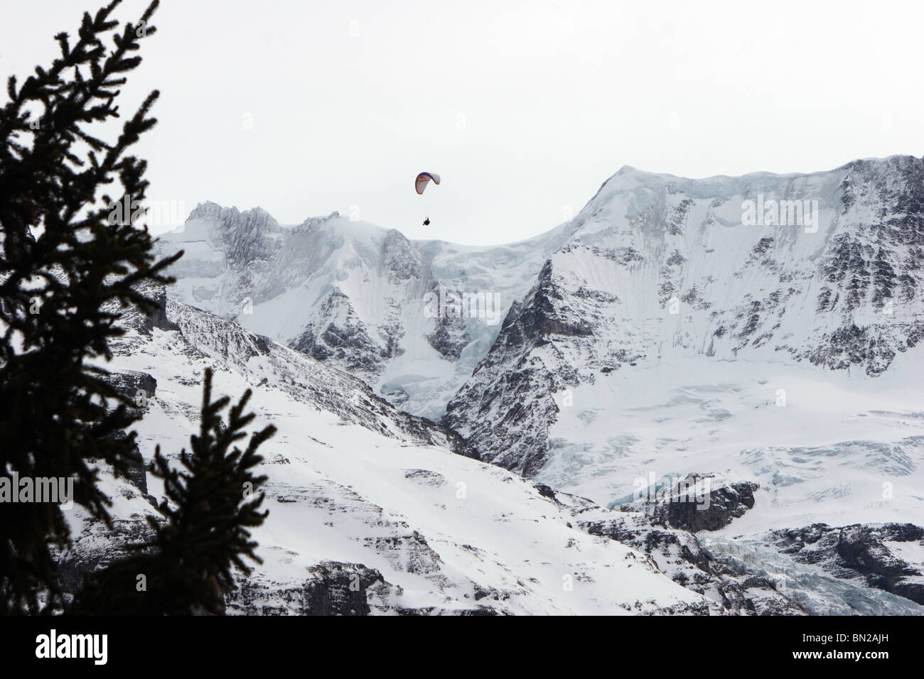 Murren parachuter dans la neige éternelle Alpes montagnes Banque D'Images