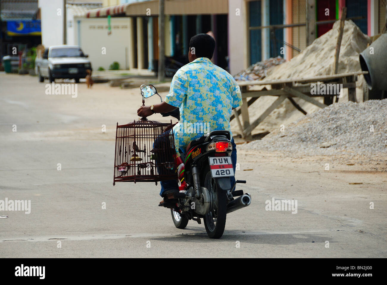 Homme portant une cage à oiseaux dans une moto Takua Pa ville, à l'ouest de la Thaïlande Banque D'Images