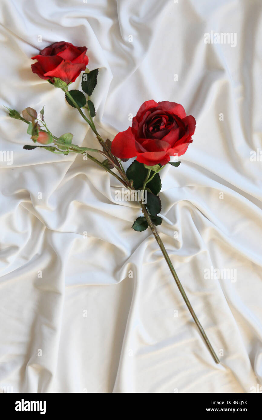 Roses rouges sur fond blanc de fleurs en soie Banque D'Images