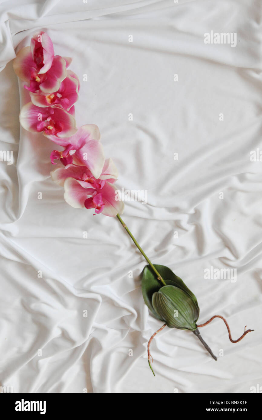 Orchidée pourpre sur fond blanc de fleurs en soie Banque D'Images