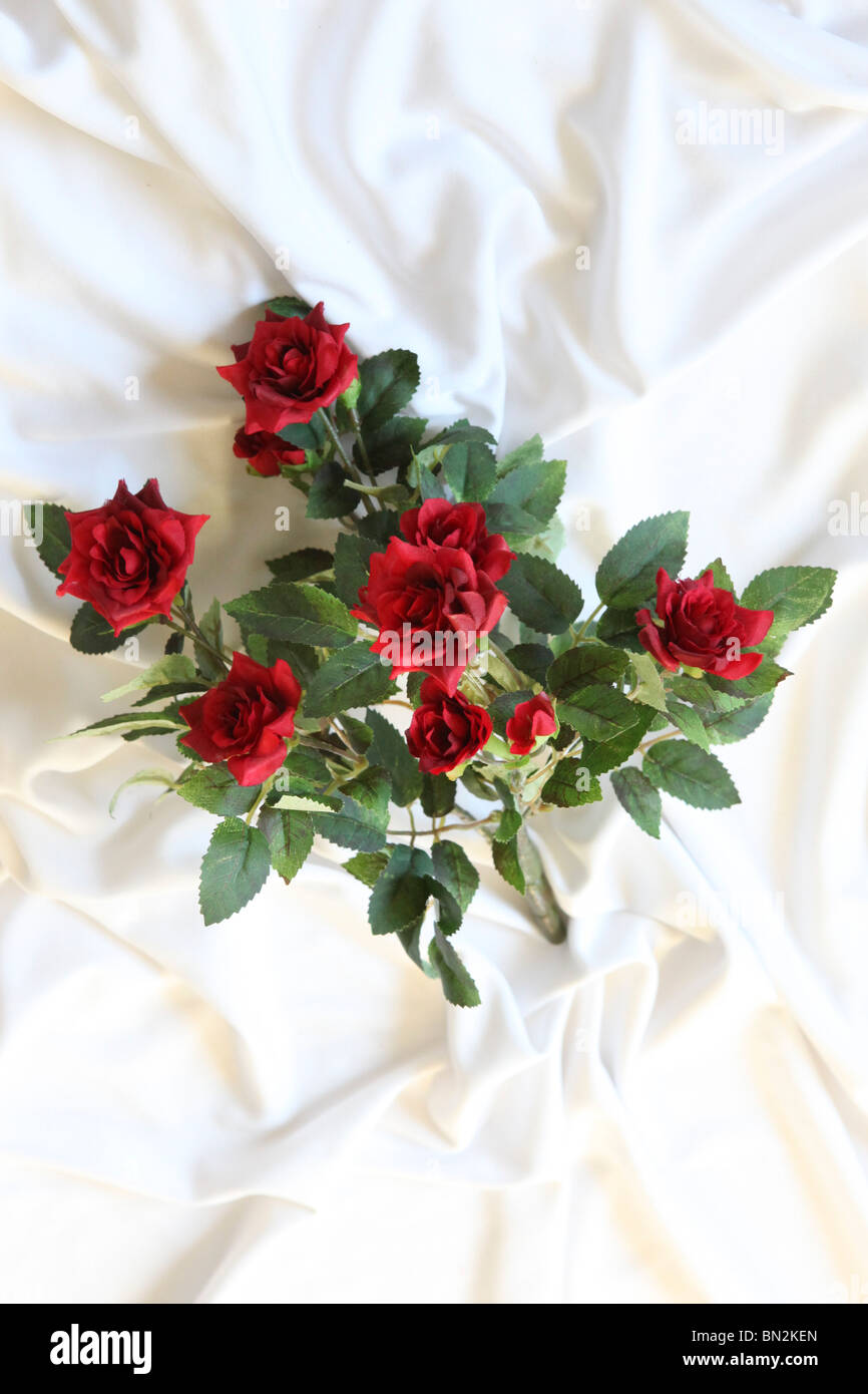 Roses rouges sur fond blanc de fleurs en soie Banque D'Images