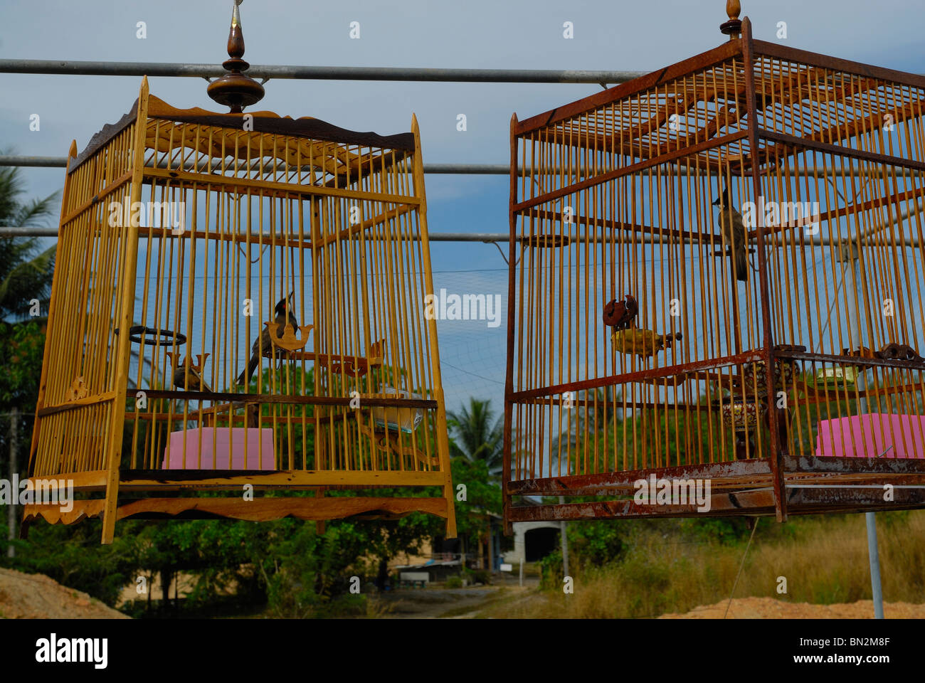 Les cages à oiseaux dans la ville de Takua Pa, à l'ouest de la Thaïlande Banque D'Images