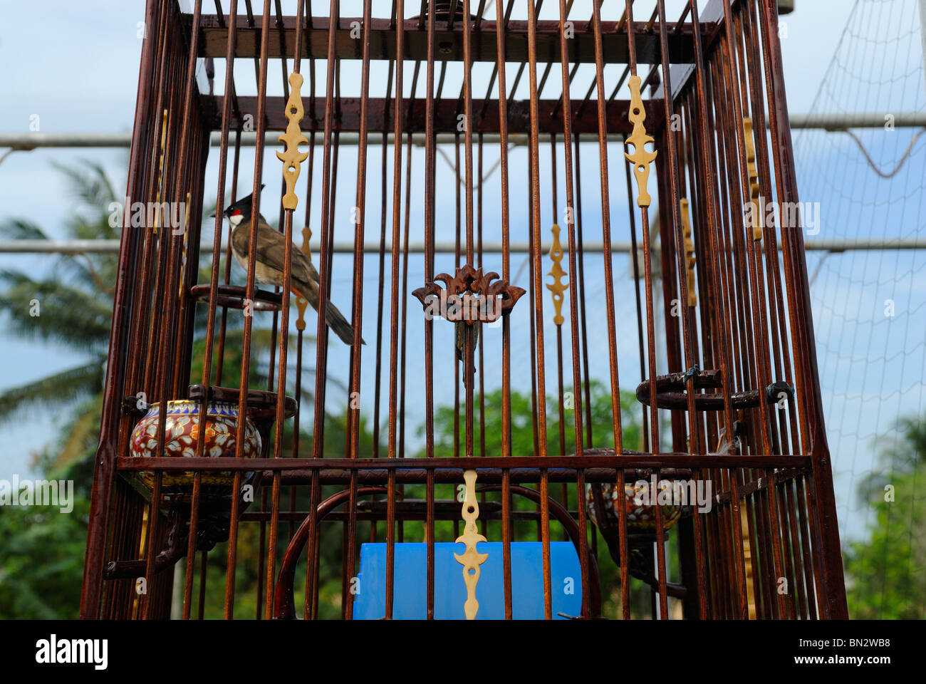 Les cages à oiseaux dans la ville de Takua Pa, à l'ouest de la Thaïlande Banque D'Images